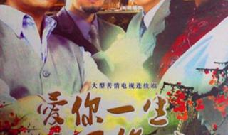 爱你一生不后悔主题曲